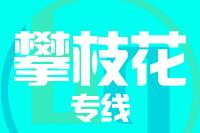泉州到攀枝花物流公司